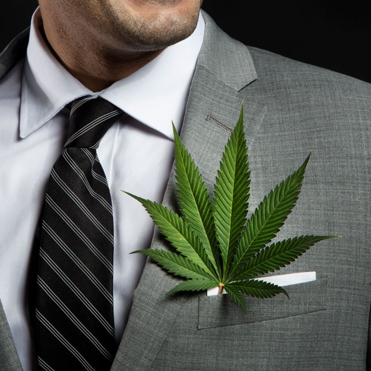 marijuana-business-leaders-the-new-wave-of-politicians